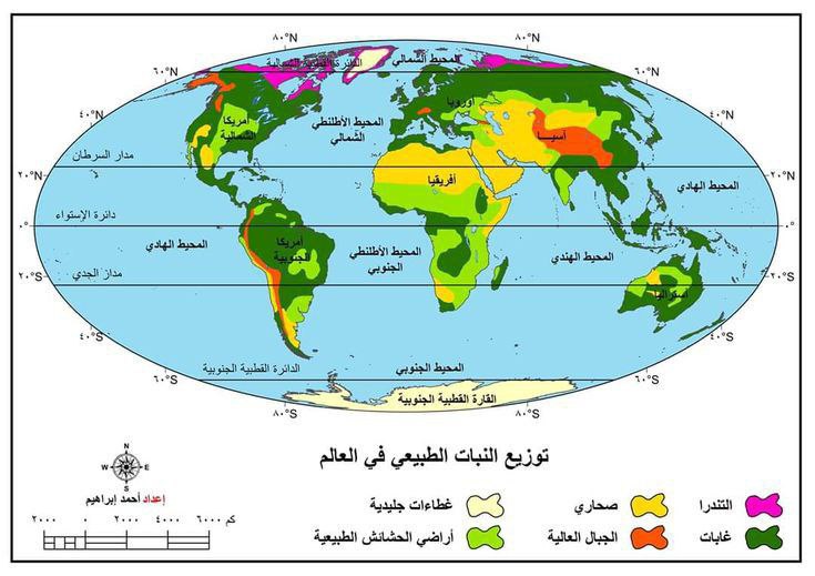  Gisarabi