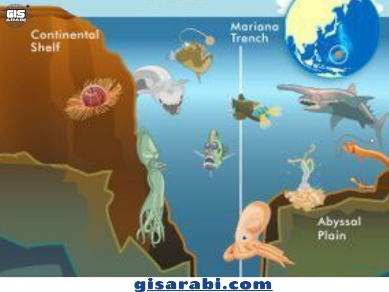 أحدث الاكتشافات الجغرافية في العالم (2024): من أعماق المحيطات إلى الفضاء الخارجي