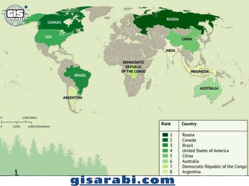 جغرافية الغابات: دراسة علمية للابعاد الجغرافية والبيئية 4 جغرافية الغابات: دراسة علمية للابعاد الجغرافية والبيئية
