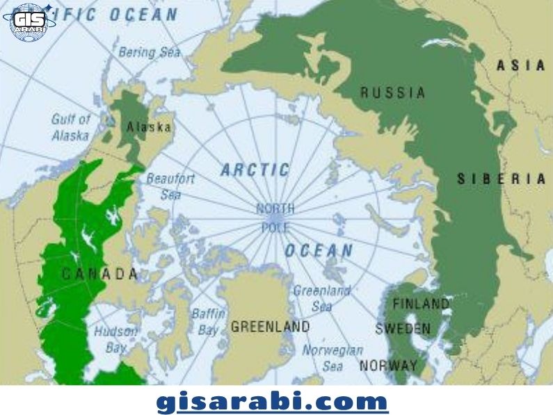 جغرافية الجليديات: التوزيع، العمليات، والتغيرات المناخية